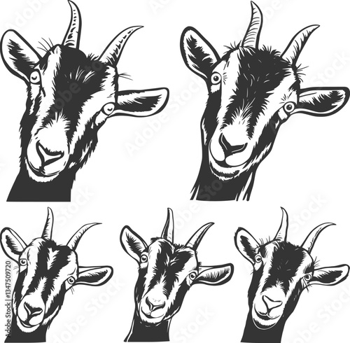 Goat head cricut, Goat farm animal
