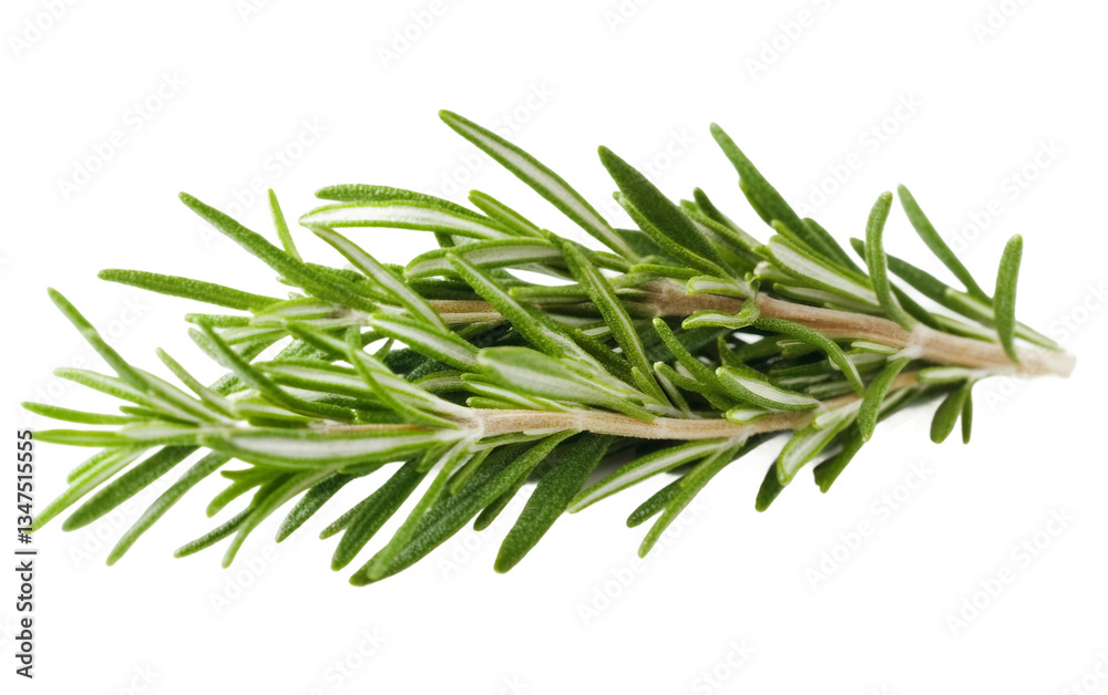 Fototapeta premium generated by ai