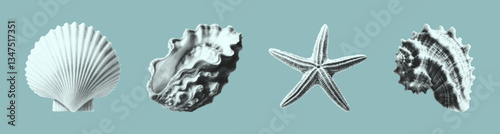Collection of elements seashells with a halftone effect. Vector illustration of stickers with shells, starfish, in a pastel colors design for a banner or poster. Vector summer coastal design.