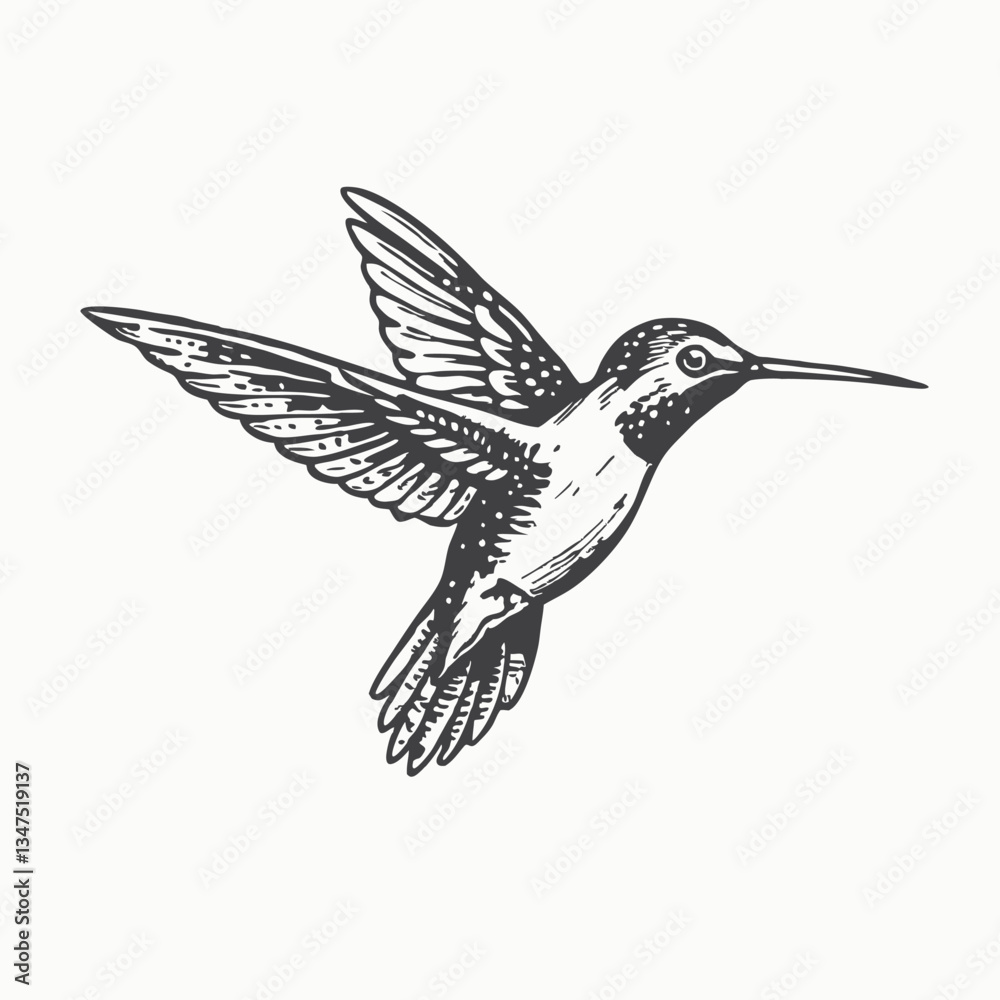 Fototapeta premium Black Color Hummingbird Silhouette Vector Illustration Solid White Background minimal Vector Hand Drawn Illustration Isolated On Transparent Background