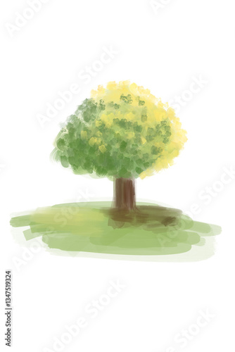 Layer 1