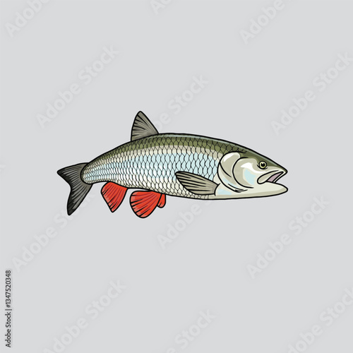 fish chub