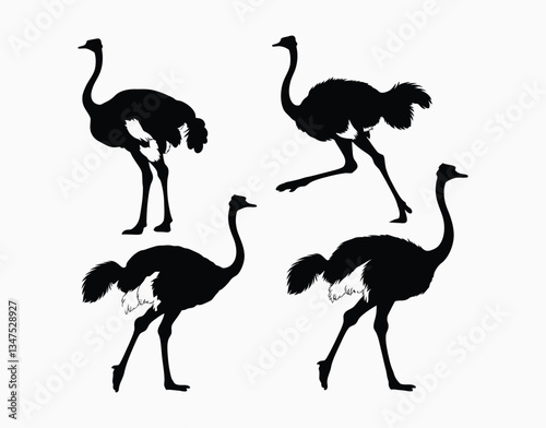 Minimalist Ostrich Silhouette EPS Vector Template