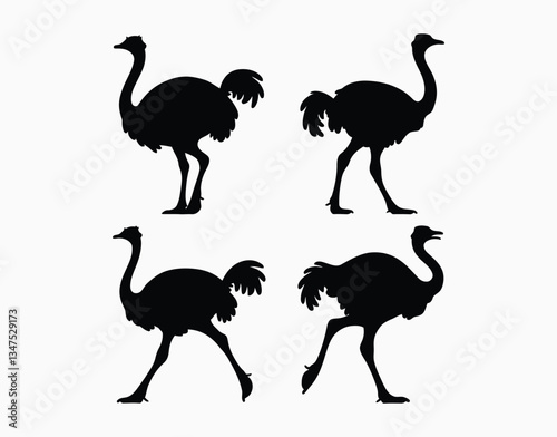 Ostrich Silhouette EPS Vector Template on a Clean White Background