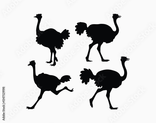 Ostrich Silhouette Template Collection on a White Background