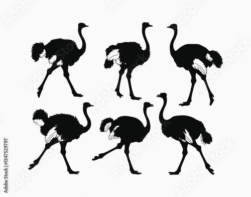 Simple Ostrich Silhouette EPS Vector Template on White Background