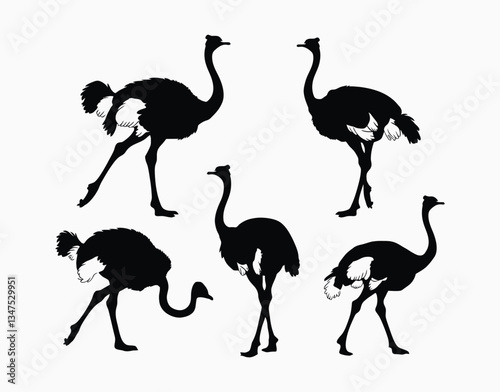 Vector Ostrich Silhouette Illustration EPS Template