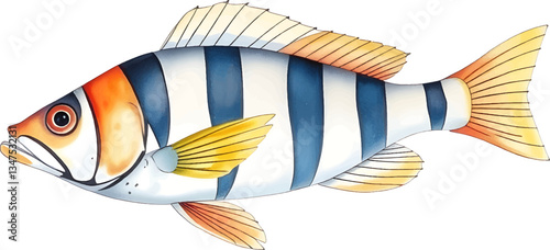 Tropical fish in watercolour technique. Vector illustration.