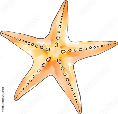 Starfish in watercolour technique. Vector illustration.