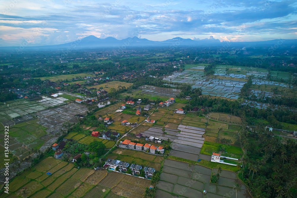 Aerial view of rice plantations and a hill village from a drone. Rice terraces on the island of Bali.