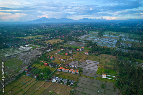 Obraz na płótnie Aerial view of rice plantations and a hill village from a drone. Rice terraces on the island of Bali. w salonie