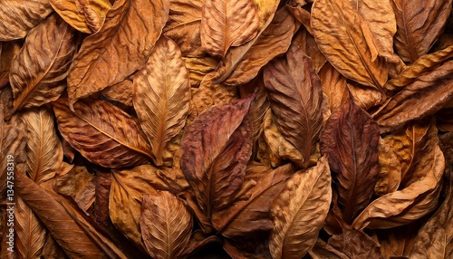 tobacco leaves texture and background