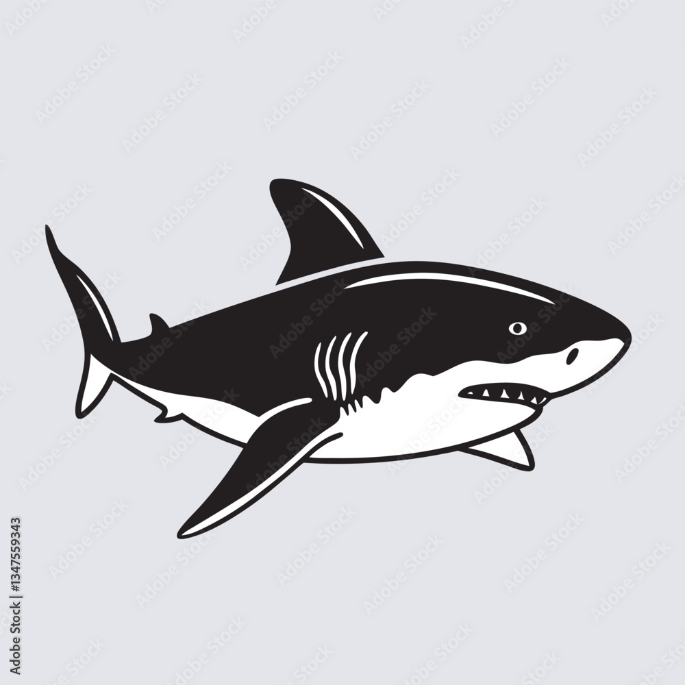 Shark vector art Illustration file Shark vector art Illustration file