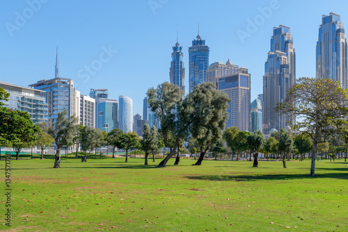 Canvas Print A green park in the center of Dubai with a view of the skyscrapers of Downtown Dubai