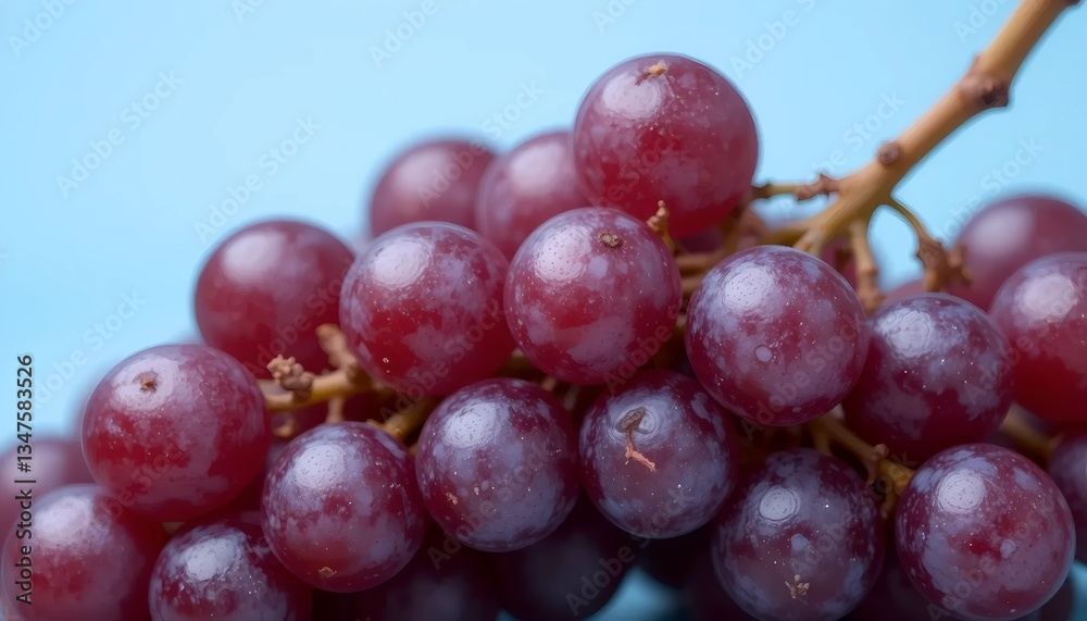 red grapes close up red grapes close up
