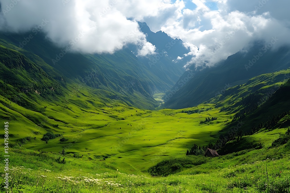 Naklejka premium quiet heart of a vivid grassland holding broad teal hues faint drafts and mending energy of nature’s rich wrap 