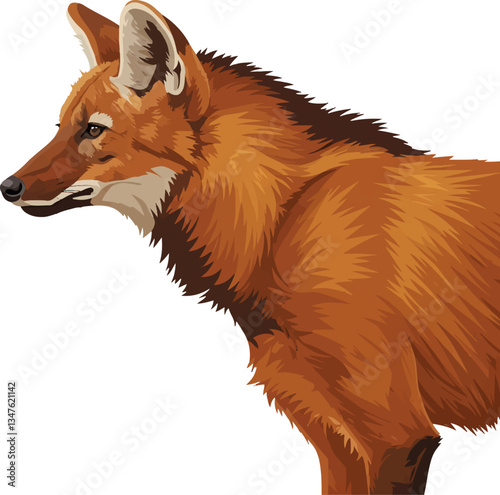 Maned Wolf (Chrysocyon brachyurus) – Vector art of the iconic red wolf of the South American savanna (Cerrado biome)