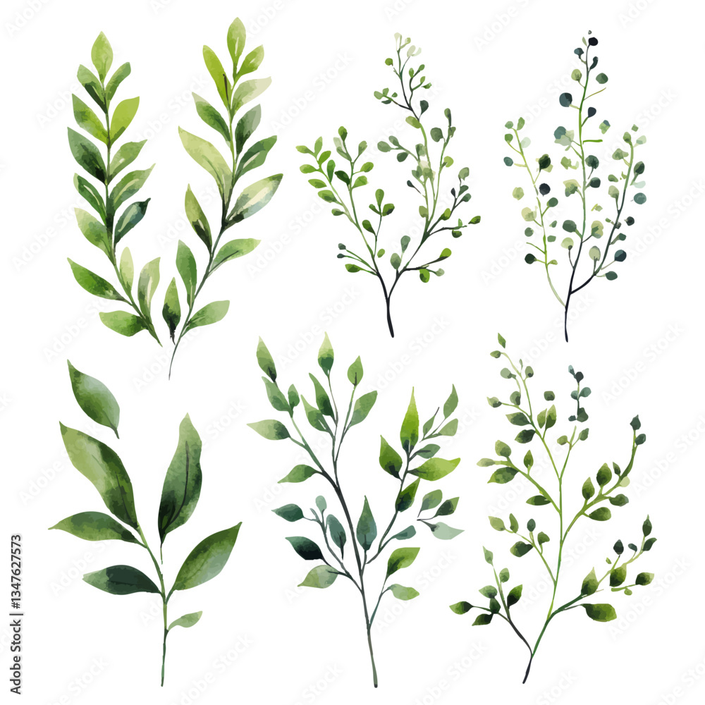 Fototapeta premium Watercolor botanical greenery collection with hand painted leaves and branches on a white background