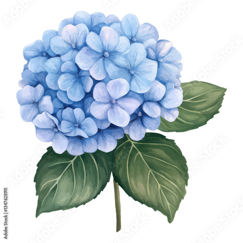 Watercolor illustration of a blue hydrangea flower with lush green leaves for elegant floral and botanical designs