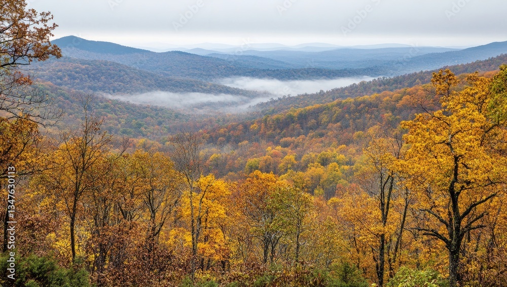 Misty autumn mountain valley with vibrant fall foliage. Misty autumn mountain valley with vibrant fall foliage.
