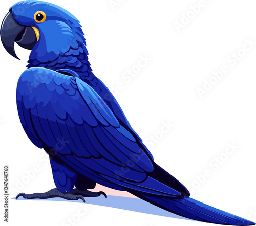Hyacinth Macaw (Anodorhynchus hyacinthinus) – Blue parrot of the South American Tropical Biomes. Vector art on transparent background.