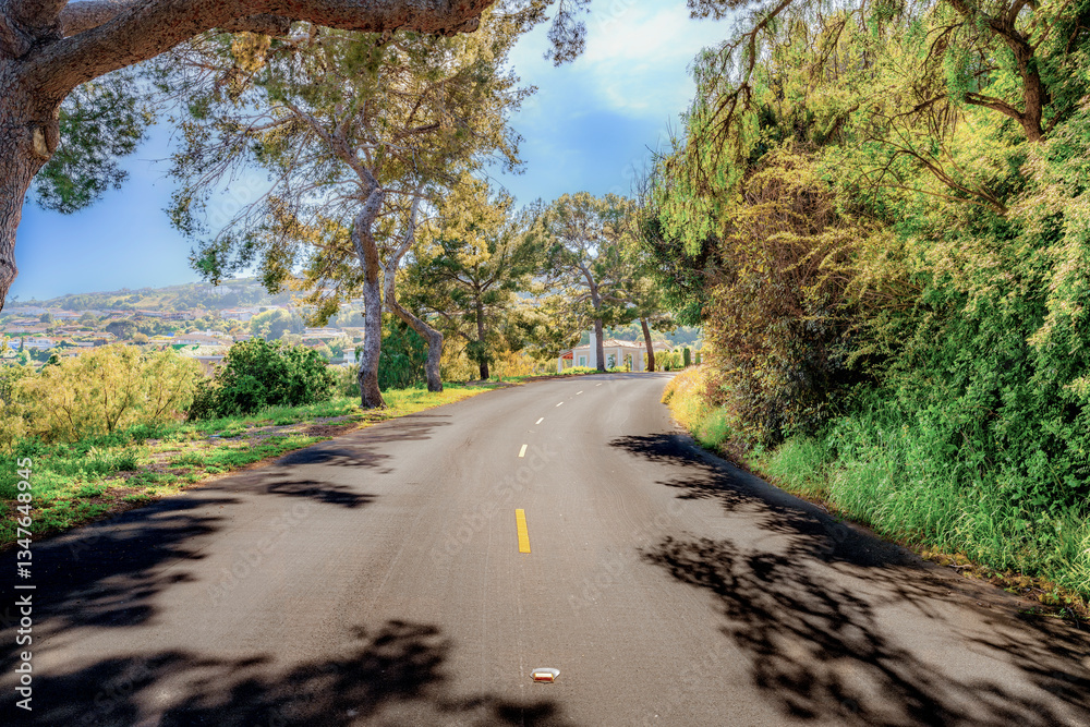 Neighborhoods with small roads and homes overlooking Los Angeles and the Port of Los Angeles during a bright, beautiful clear Springtime day