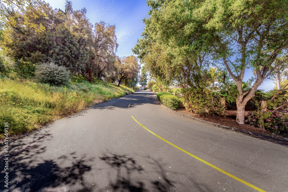 Tree lined countryside road rich with greenery and landscape during a beautiful Springtime day