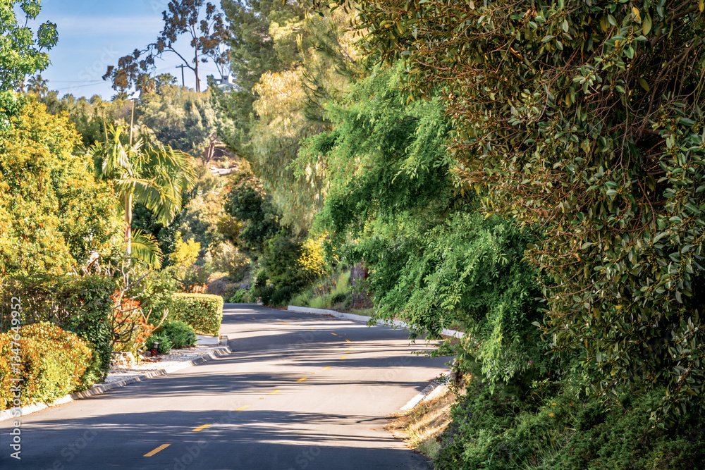 Tree lined countryside road rich with greenery and landscape during a beautiful Springtime day