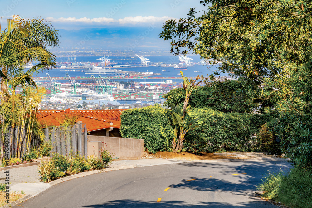 Neighborhoods with small roads and homes overlooking Los Angeles and the Port of Los Angeles during a bright, beautiful clear Springtime day