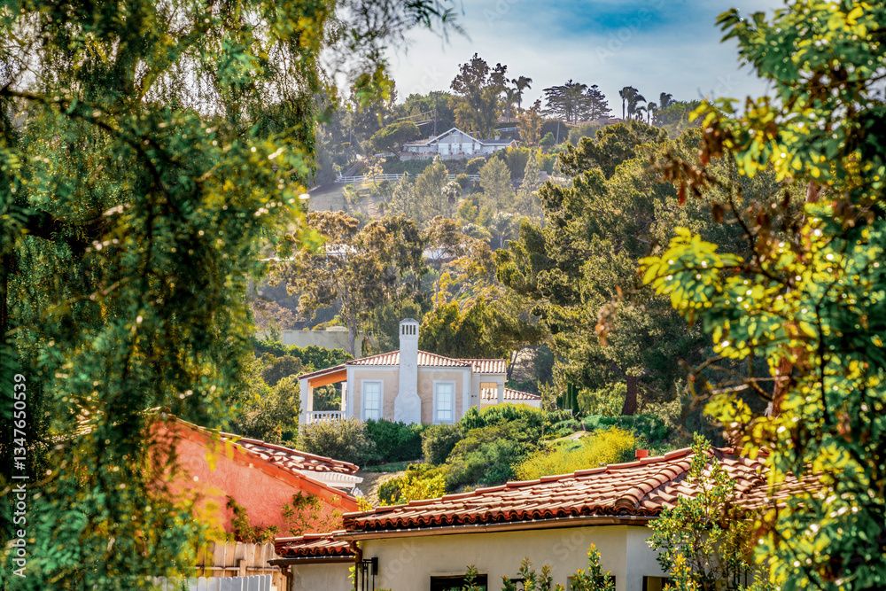 Countryside style homes surrounded with rich greenery and landscape with trees and blue sky within a Southern California neighborhood