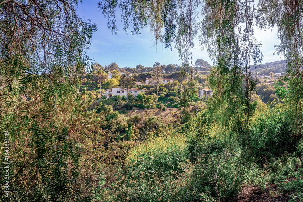 Countryside style homes surrounded with rich greenery and landscape with trees and blue sky within a Southern California neighborhood