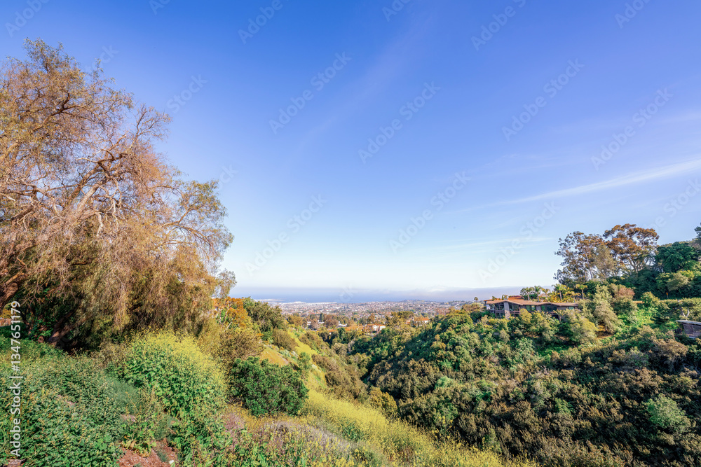 Canyon full of greenery and yellow flowers lined with beautiful spacious homes overlooking the city of San Pedro and the Port of Los Angeles