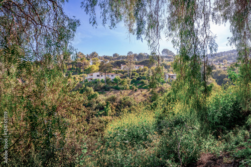Obraz na płótnie Countryside style homes surrounded with rich greenery and landscape with trees and blue sky within a Southern California neighborhood w salonie