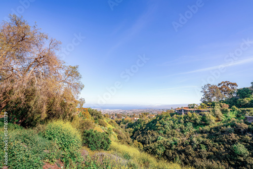 Obraz na płótnie Canyon full of greenery and yellow flowers lined with beautiful spacious homes overlooking the city of San Pedro and the Port of Los Angeles w salonie