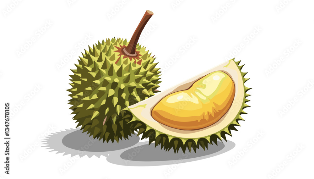 Fototapeta premium Cartoon whole and sliced ​​durian with prickly surface in modern vector style with bright appeal on transparent background.