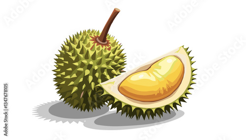 Cartoon whole and sliced ​​durian with prickly surface in modern vector style with bright appeal on transparent background.