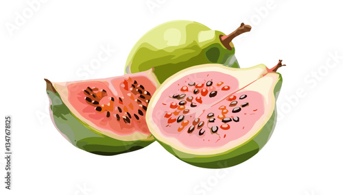 Freshly cut pink guava halves with seeds in modern elegant vector style with bright appeal on transparent background.