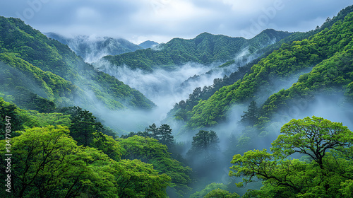 Misty Mountain Majesty: A Breathtaking Landscape of Serene Green Hills and Foggy Valleys