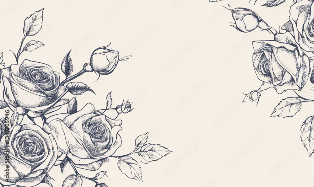 Fototapeta premium Vintage Rose Border Engraving Line Art Minimalist Vector Floral Hand-Drawn Illustration