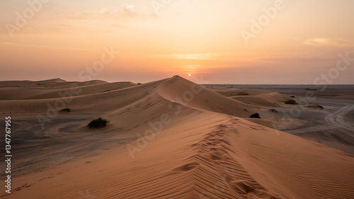 Golden sunset over desert dunes.
