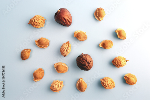 Textured fruit pips with falling shadows. Top view. Colorful background. Wallpaper. Cover. Picture. Postcard. Place to insert