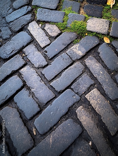 Dark herringbone brick path with vibrant moss in the cracks of the stones