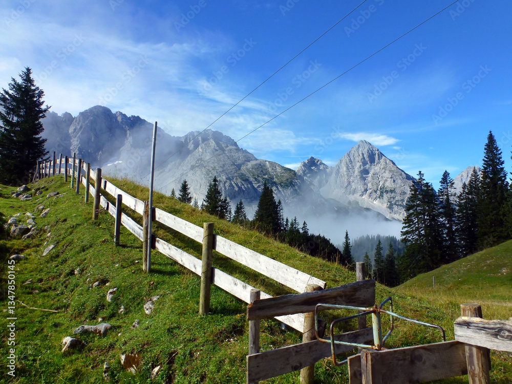 Fototapeta premium A fence of a cattle pen on a mountain summer pasture in perspective. Mountains and blue sky behind.