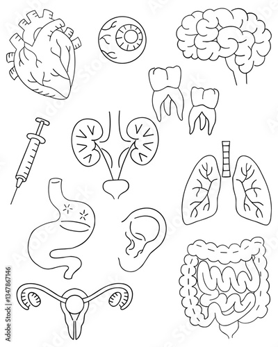 Human body drawing line art design 