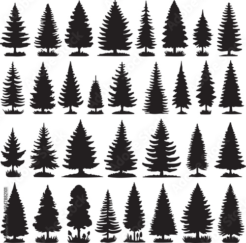 Tree silhouette