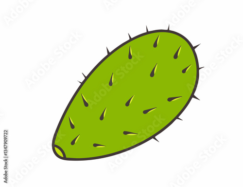 Green Cactus Pad with Spines Illustration. Vector image