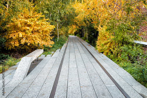 Autumn Foliage at The High Line in NYC