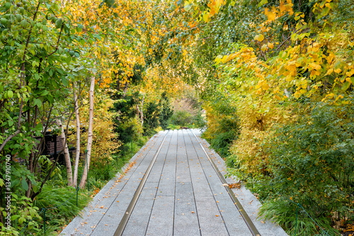 Photography Autumn Foliage at The High Line in NYC
