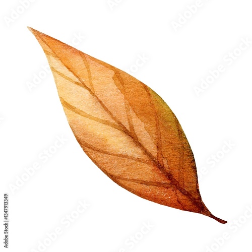 Warm autumn leaf showcasing vibrant hues in a delicate watercolor illustration captured in natural light