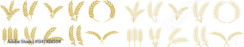 Wheats ears icon set and wheat design elements flat line vector collection isolated on transparent background. Harvest wheat grain, growth rice stalk and whole bread grains or field cereal nutritious.